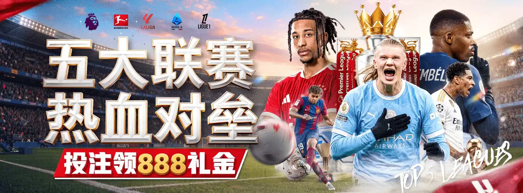 场馆内容集中浏览
